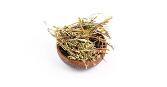 Mugwort incense for healing and clarity