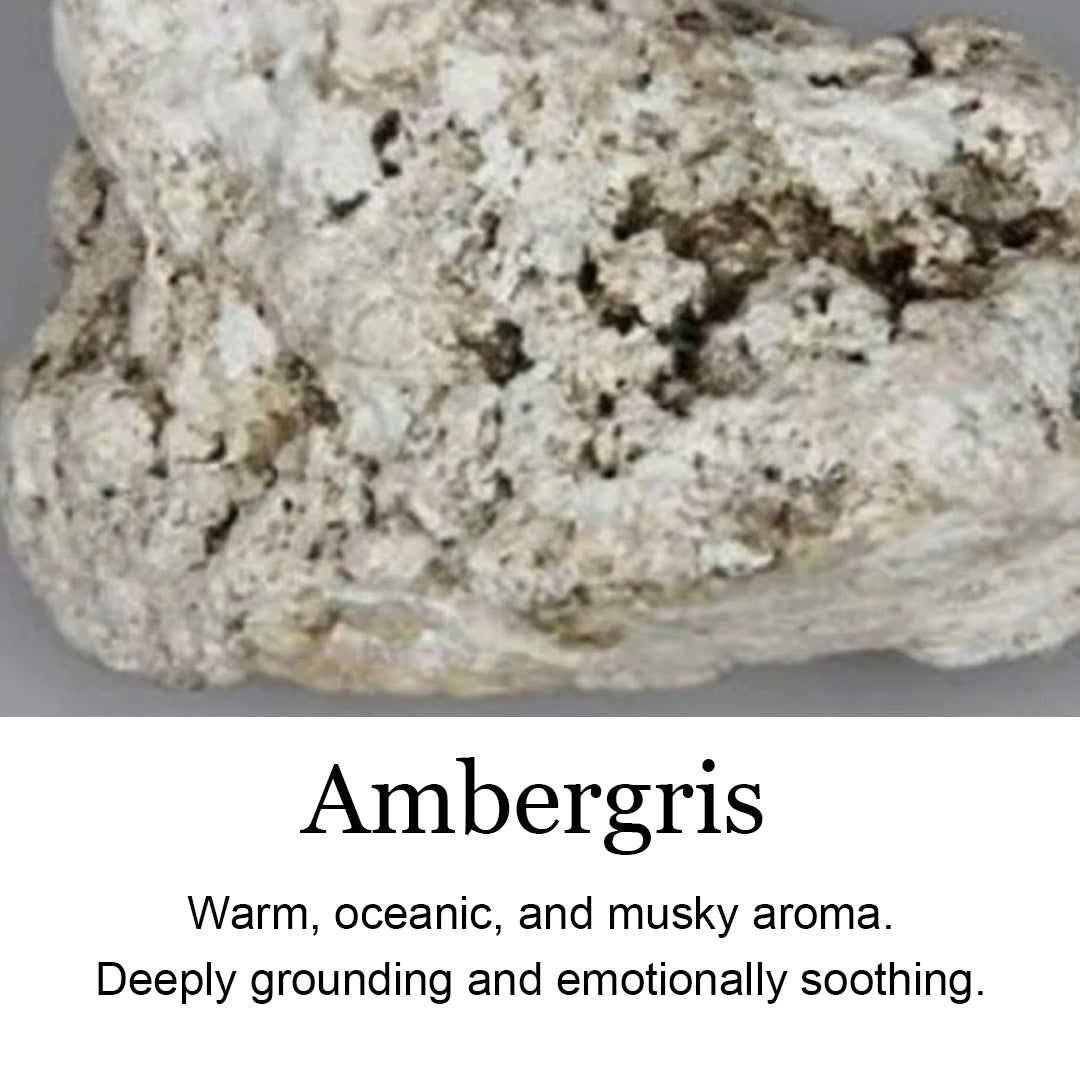 Ambergris resin, natural fixative for incense, warm oceanic scent